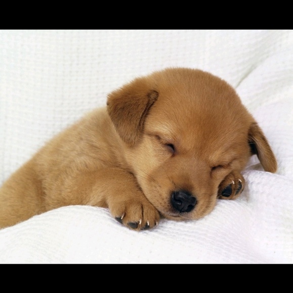 Meet your Posher, Jing - Picture 1 of 1